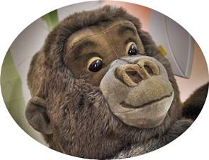 Plagiarism in Writing